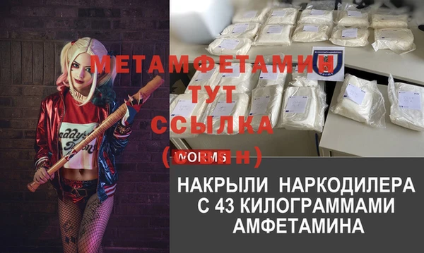 ПСИЛОЦИБИНОВЫЕ ГРИБЫ Балабаново